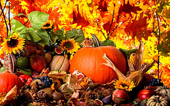 Fall Harvest High Quality HD wallpaper