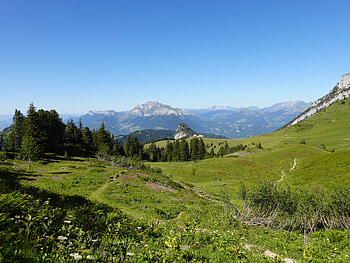 Nature, Trees, Grass, Mountains, Lawn HD wallpaper