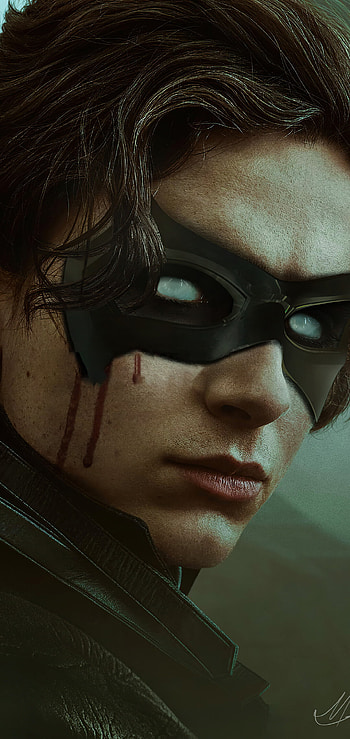 Robin, Timothee Chalamet HD phone wallpaper