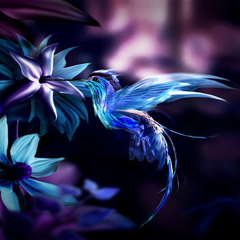 BLUE BIRD, blue, digital, bird, art, flowers HD wallpaper