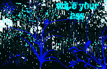 your, blue, colorful, wipe, boy HD wallpaper