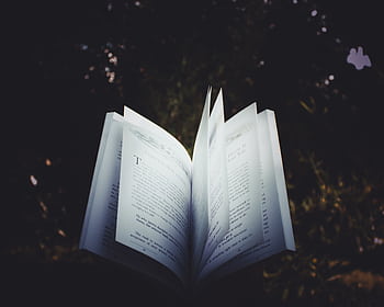An open book with pages turning, captured outdoors, creating a dreamy reading atmosphere. HD wallpaper