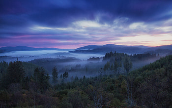 Nature, Trees, Sky, Fog, Hills, Scotland HD wallpaper