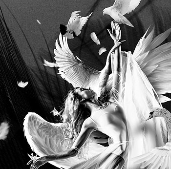 Swan dance, wings, gaurav pandit, black, white, bird, dancer, bw, girl, lebada, fantasy, swan HD wallpaper