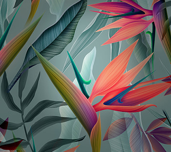 Leaves, abstract, huawei mate 10, stock HD wallpaper
