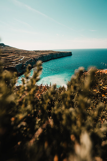 Plants, Nature, Water, Sea, Shore, Bank, Stone, Cliff HD phone wallpaper