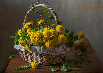 Still Life, basket, flowers, yellow HD wallpaper