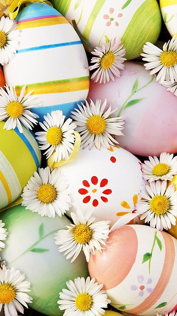 Easter, Flowers Background HD phone wallpaper
