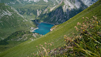 Lake Green Trees Grass Field Mountain Slope Yellow Flowers Scenery Background Nature HD wallpaper