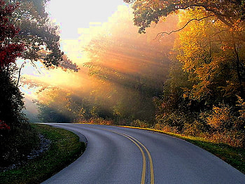 Morning road, golden leaves, trees, autumn, highway, sunrise, sun rays HD wallpaper
