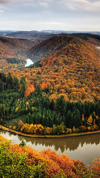 October , Fall season, Autumn aesthetics, backgrounds HD phone wallpaper