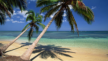 Beach, Sea, Ocean, Dominican Republic vacation HD wallpaper