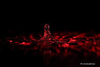 Water, Macro, Dark, Spray, Splash HD wallpaper