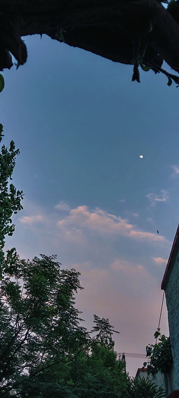 Beautiful Moon, cloud, sky HD phone wallpaper