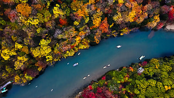 River, forest, colour of autumn, aerial view HD wallpaper