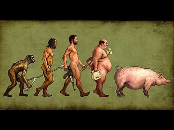 True Facts, funny HD wallpaper