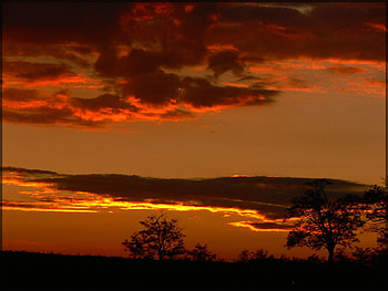 Sunset in Bia, summer, biatorbagy, hungary, sunset, home HD wallpaper
