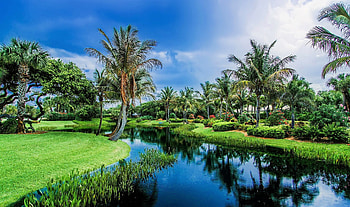 Kerala, river, sky, palm trees, india HD wallpaper