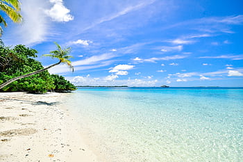 Stunning beach in Laamu Atoll, Maldives, with turquoise waters and clear skies. HD wallpaper