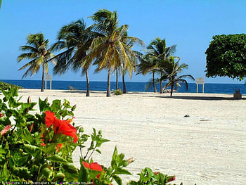 Beautiful Place, place, beautiful, nature, , beach HD wallpaper