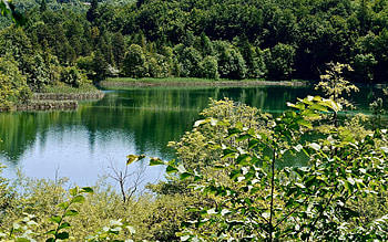 Nature, Rivers, Trees, Grass, Sky HD wallpaper