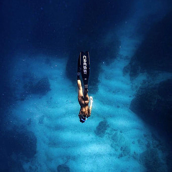 Jaw-dropping diving, Conquering fears, Swimming with great whites, Zenger News HD phone wallpaper