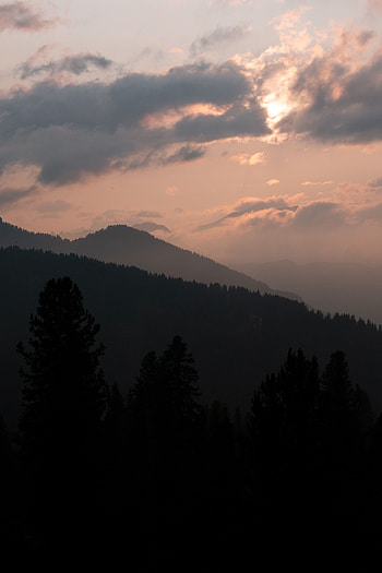 Nature, Trees, Mountains, Night, Italy, Elevation, Dolomites HD phone wallpaper