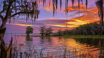 Lake Iskapoga, Florida, trees, clouds, colors, sky, water, usa, reflections, sunset HD wallpaper