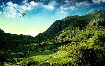 the rising , green hill HD wallpaper