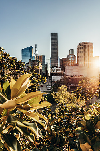 Cities, Trees, Architecture, City, Building, Sunlight HD phone wallpaper