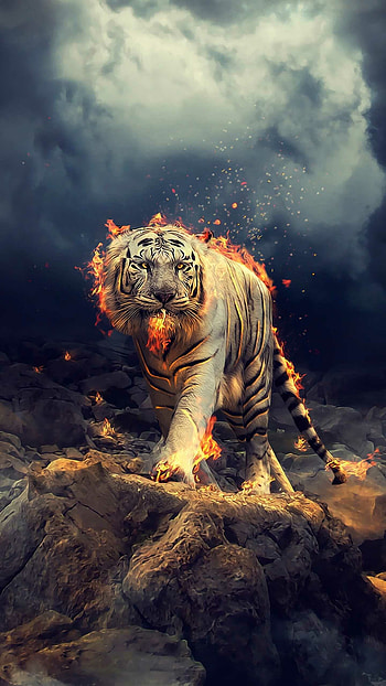 Tiger , Awesome HD phone wallpaper