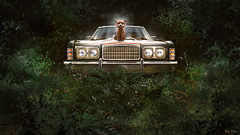Cute, fox and car, art HD wallpaper