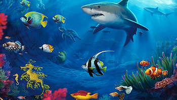 Fish , Bollywood actress, Hot HD wallpaper