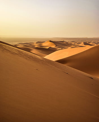 Stunning view of golden sand dunes under a serene sunset in the Algerian Sahara Desert. HD phone wallpaper