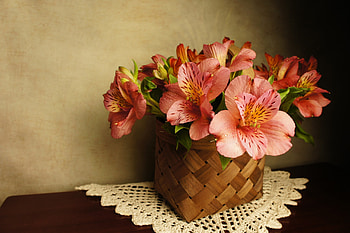 Beautiful flowers, Flowers, Peonies, Vase, Basket HD wallpaper
