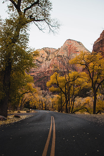 Nature, Trees, Mountains, Autumn, Road, Asphalt HD phone wallpaper