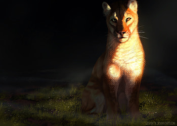 Art, Big Cat, Sight, Opinion, Lioness HD wallpaper