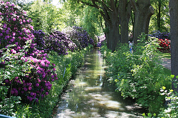 Summer pond, trees, nature, flowers, water, pond HD wallpaper