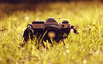 Grass, Miscellanea, Miscellaneous, Camera, Model HD wallpaper