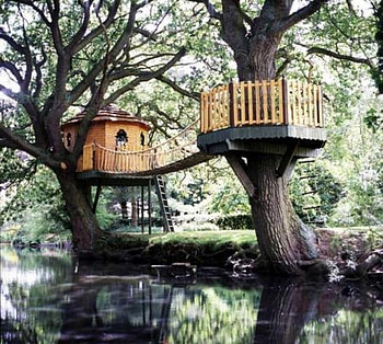 lovely treehouse, treehouse, architecture, houses, lovely HD wallpaper