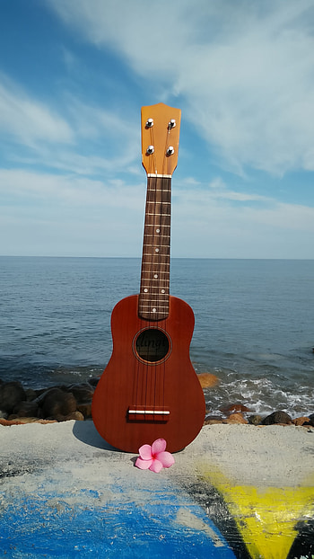 Sea, Acoustic guitar, Blue, Musical instrument HD phone wallpaper