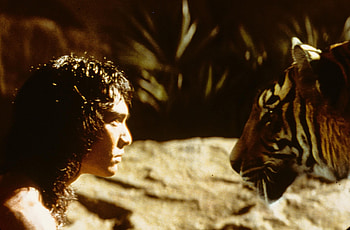 Mowgli, Shere Khan, The Jungle Book 1994, Fanpop HD wallpaper