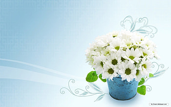 White flowers, bouquet, abstract, art, flower HD wallpaper
