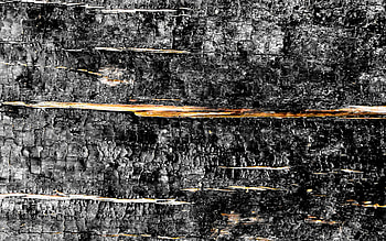 gray wooden background, close-up, horizontal wooden texture, wood planks, wooden backgrounds, gray backgrounds, wooden textures HD wallpaper