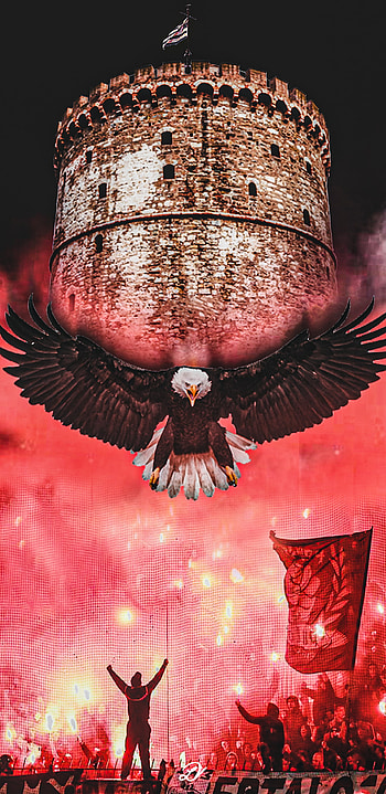 PAOK Fans, gate4, thessaloniki, paokfc, blackandwhite, aek, eagle, olympiakos, panathinaikos, partizan HD phone wallpaper
