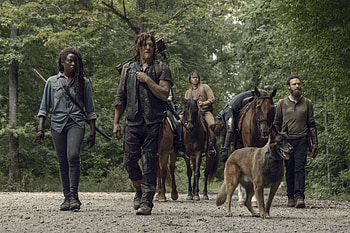 The Walking Dead, Daryl Dixon, Tv Show, Aaron (The Walking Dead), Danai Gurira, Eugene Porter, Josh Mcdermitt, Michonne (The Walking Dead), Norman Reedus, Ross Marquand HD wallpaper