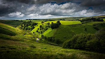 Nature, Sky, Bush, Road, Hill, Sinuous, Winding HD wallpaper