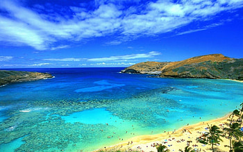 Hawaii's wonderland, Postcard-perfect charm, Tropical dreams, delight HD wallpaper