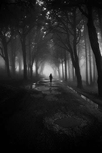 A lone figure walks along a misty forest pathway, creating an eerie atmosphere. HD phone wallpaper