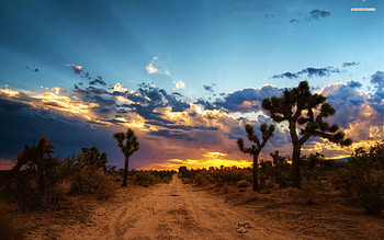 North America, Travel destinations, Breathtaking landscapes, Travel enthusiasts HD wallpaper